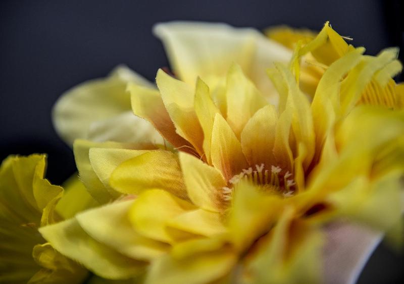 Le Stanze dei Fiori - image 2