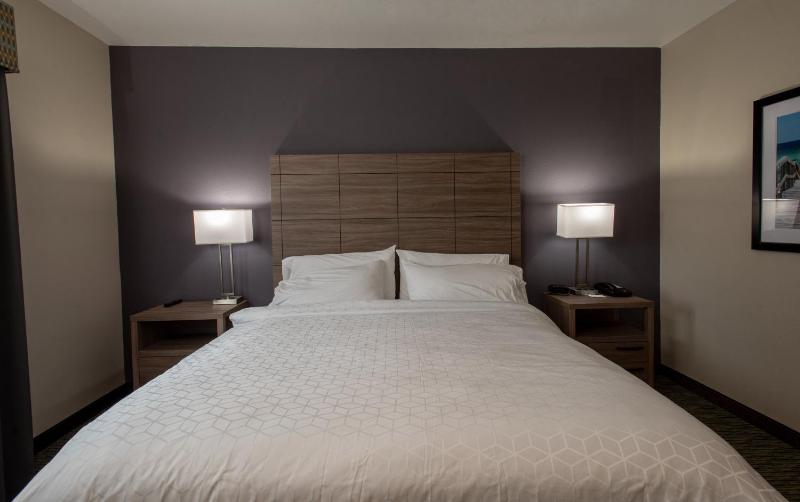 Holiday Inn Express Hotel and Suites Port Aransas/Beach Area By IHG - image 35