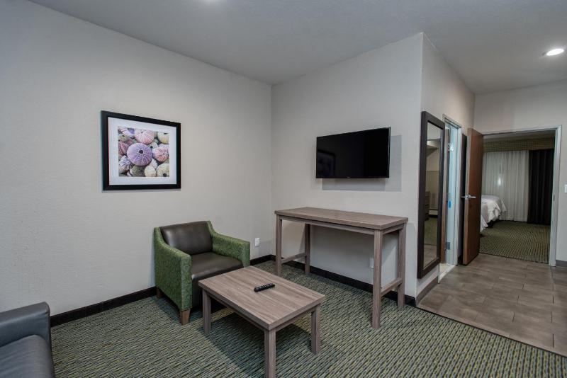 Holiday Inn Express Hotel and Suites Port Aransas/Beach Area By IHG - image 34