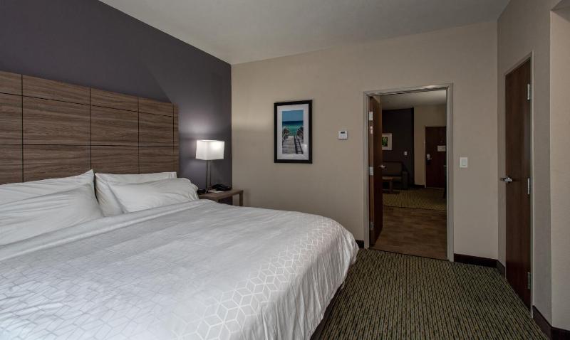 Holiday Inn Express Hotel and Suites Port Aransas/Beach Area By IHG - image 30