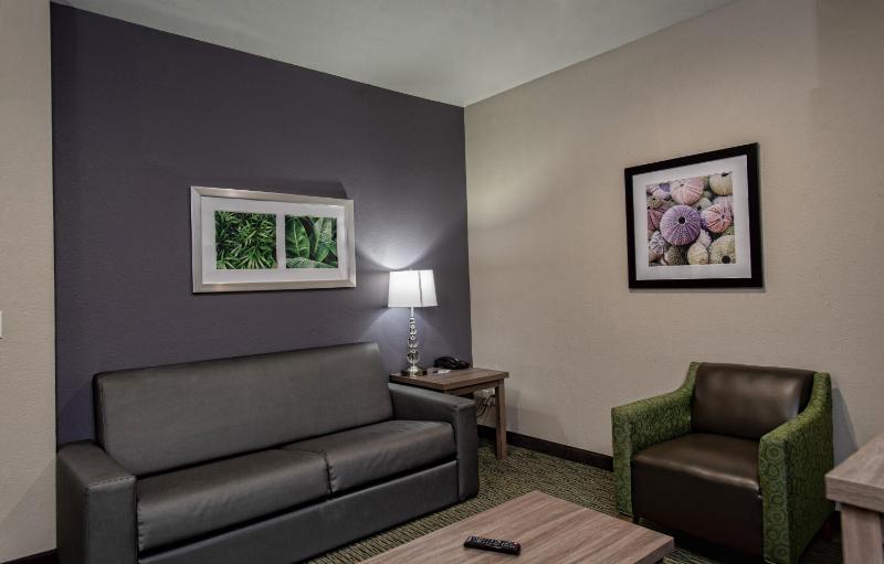 Holiday Inn Express Hotel and Suites Port Aransas/Beach Area By IHG - image 36