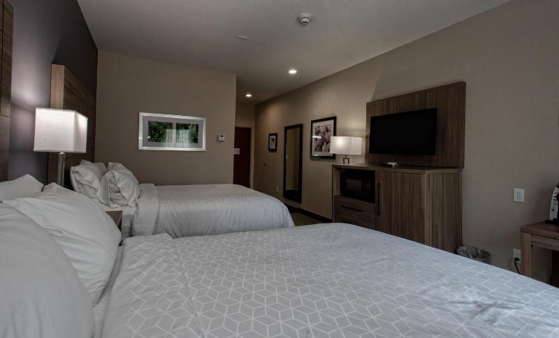 Holiday Inn Express Hotel and Suites Port Aransas/Beach Area By IHG - image 9