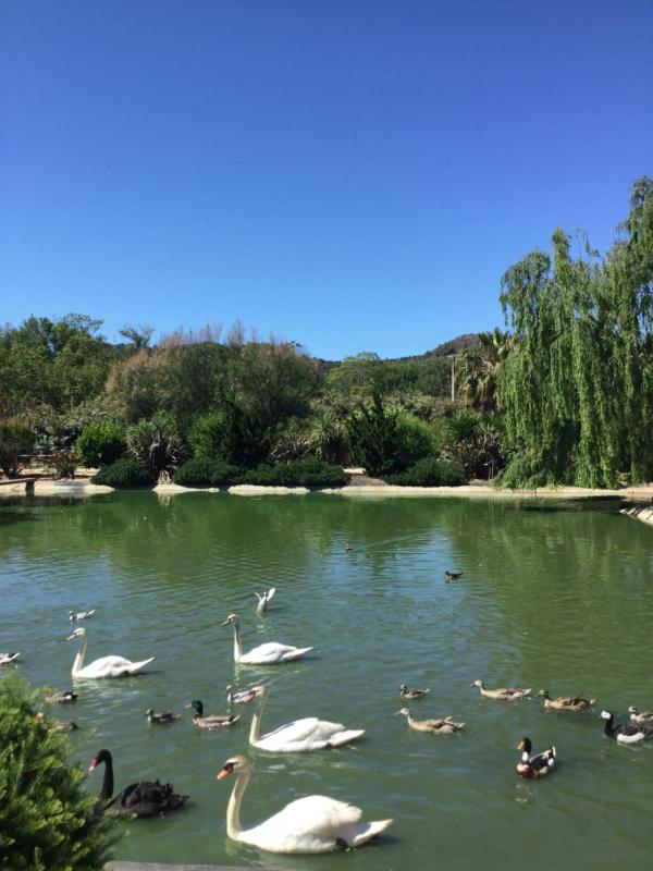 Apartment - Ground Floor image 4