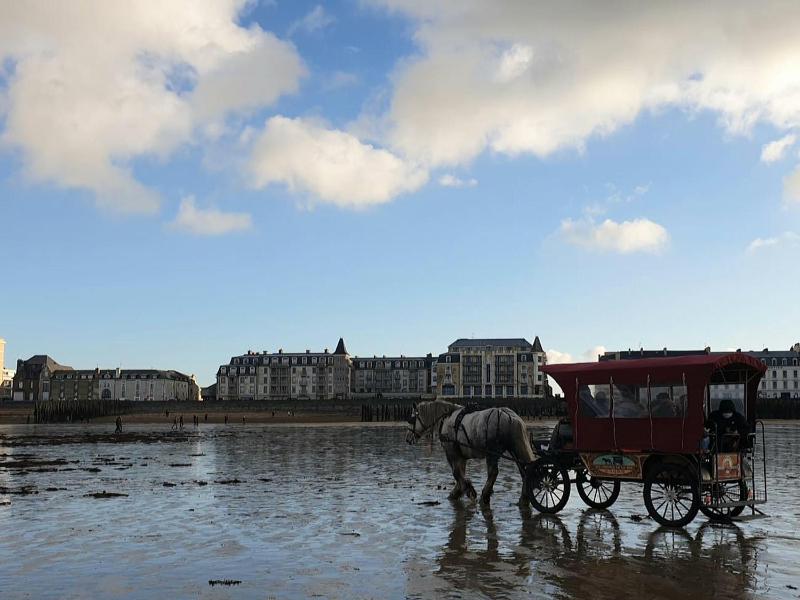 L'Echo des Vagues - image 15