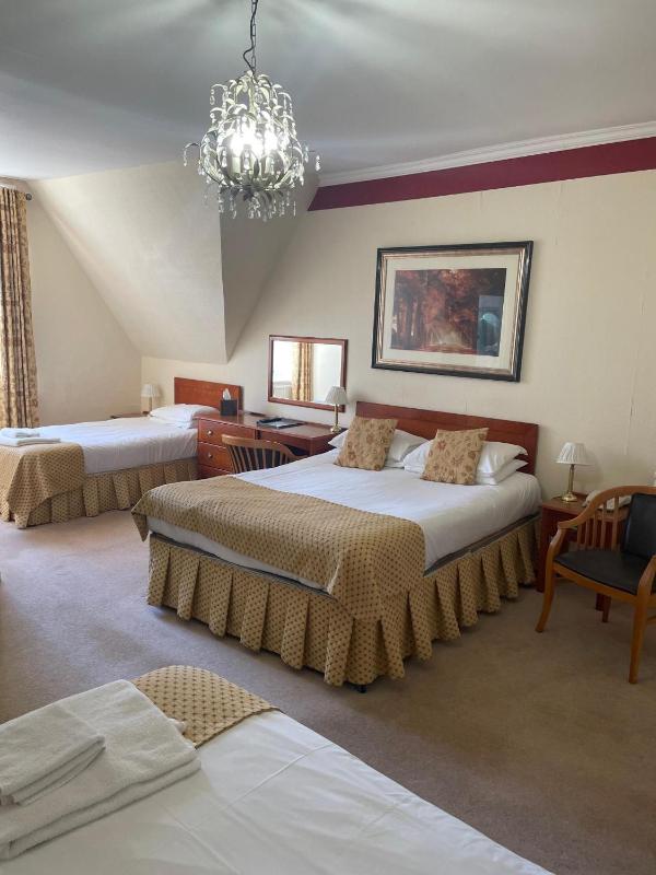 Deluxe Quadruple Room image 1