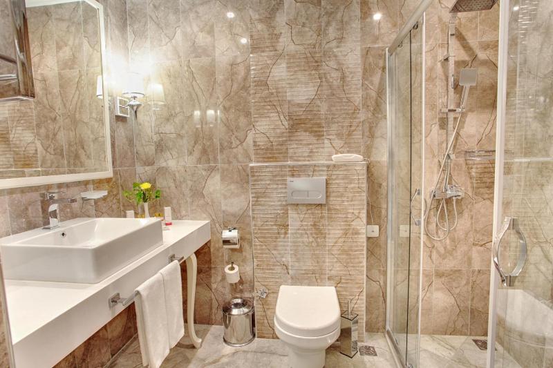 Premium Twin Room image 2