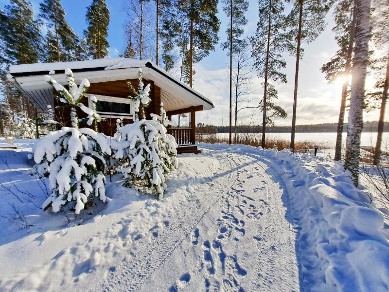 Four-Bedroom Villa with Sauna image 3