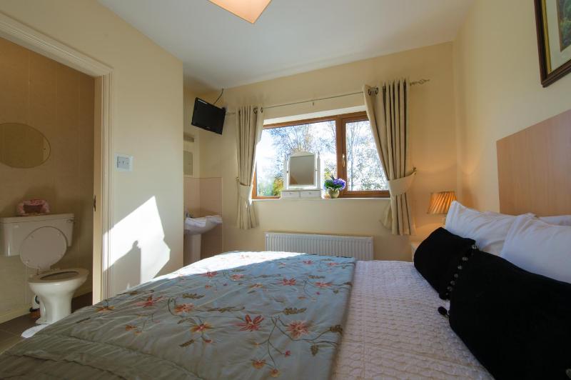 Standard Double Room image 2