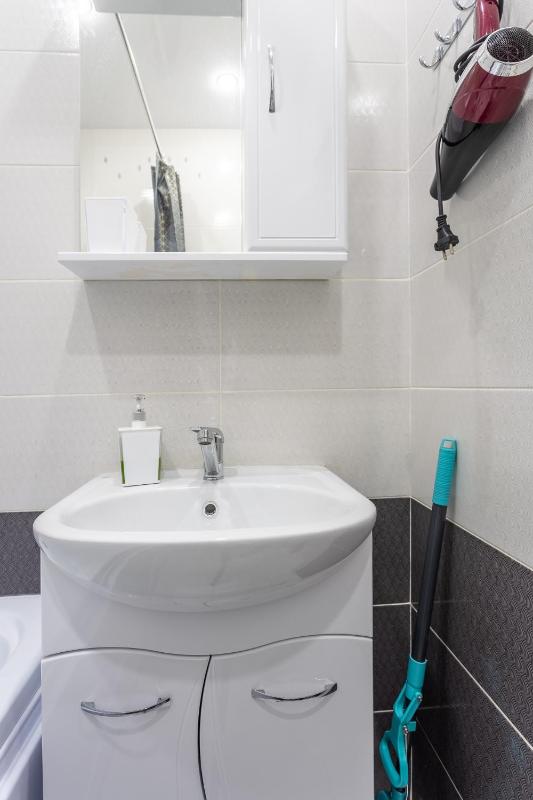 One-Bedroom Apartment image 2