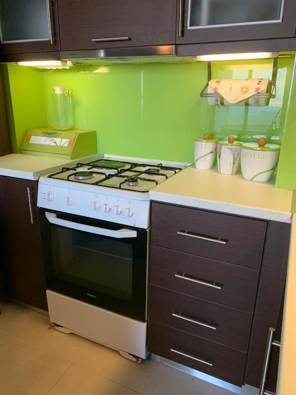 One-Bedroom Apartment image 2
