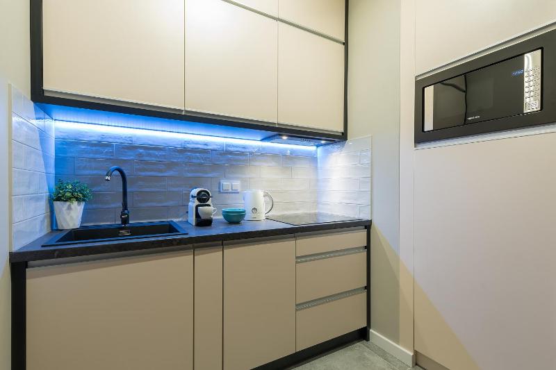 One-Bedroom Apartment image 4