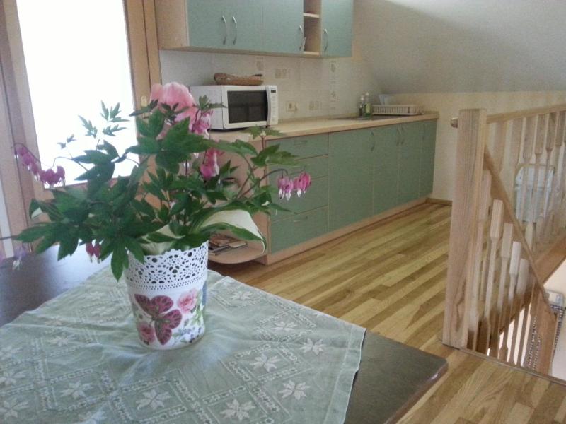 Birutes Apartments - image 3