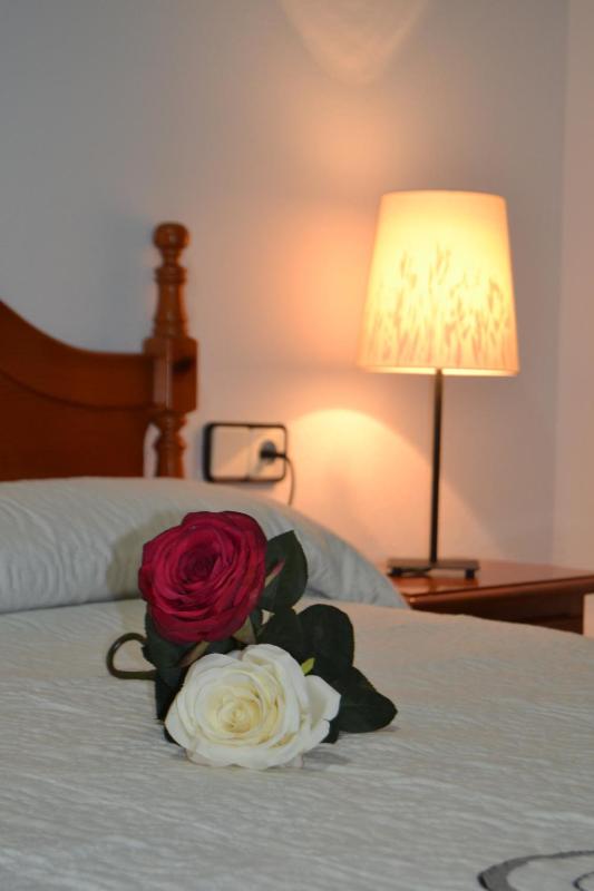 Double or Twin Room for Single Use image 3
