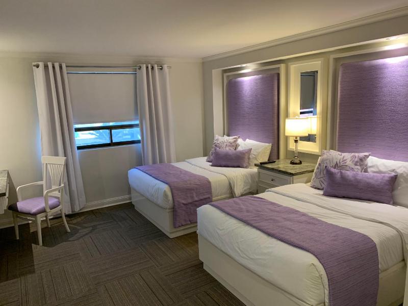 Rose Hotel - image 4