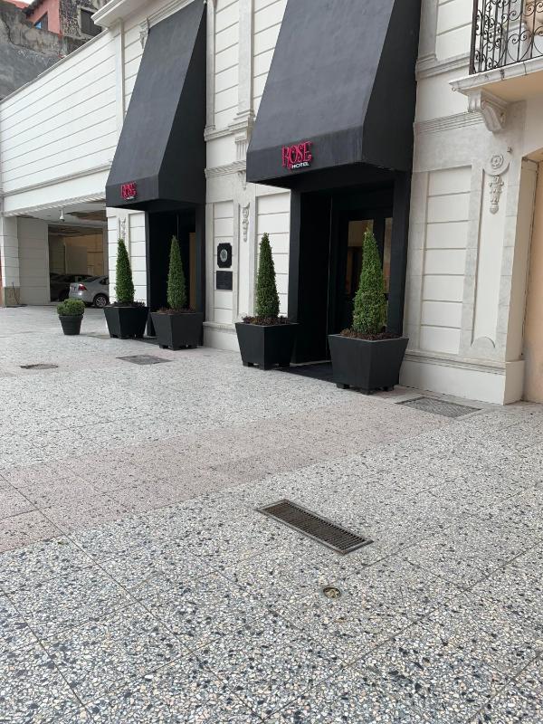 Rose Hotel - image 1