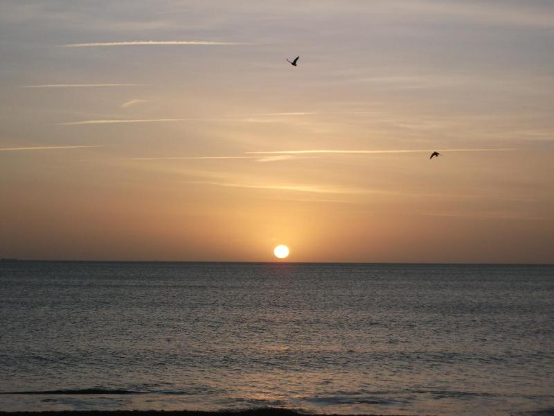 Seaspray Guest House - image 24