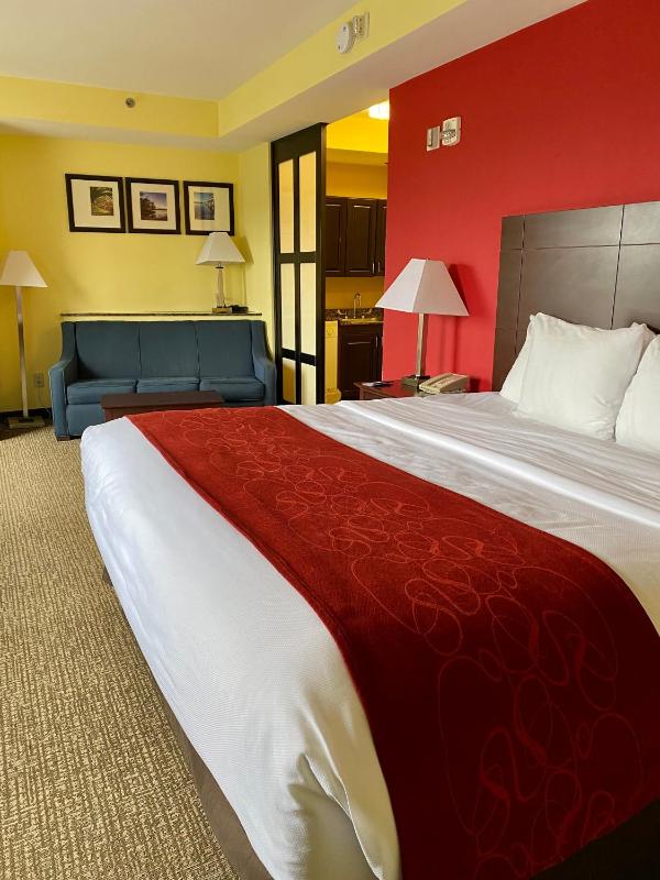 Efficiency King Suite - Accessible/Non-Smoking image 2