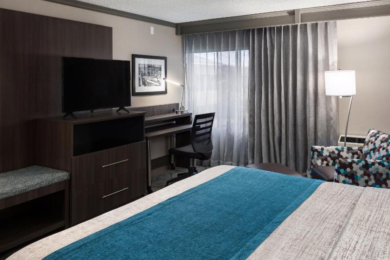 Deluxe King Room image 4