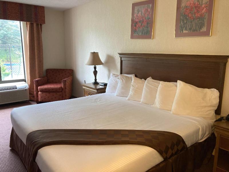 King Room - Non-Smoking image 1