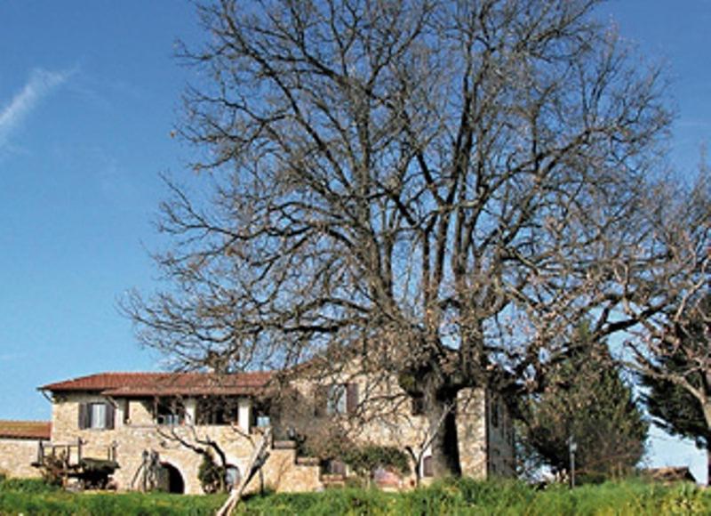 Il Casale della Quercia - image 8