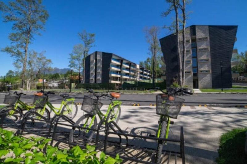 Depto en Condominio Pucón - image 16