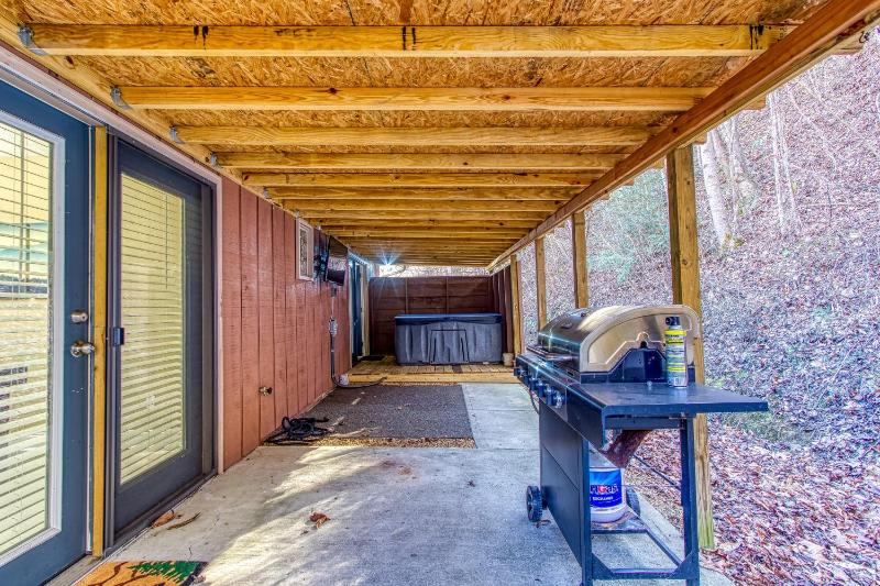 Chalet image 4