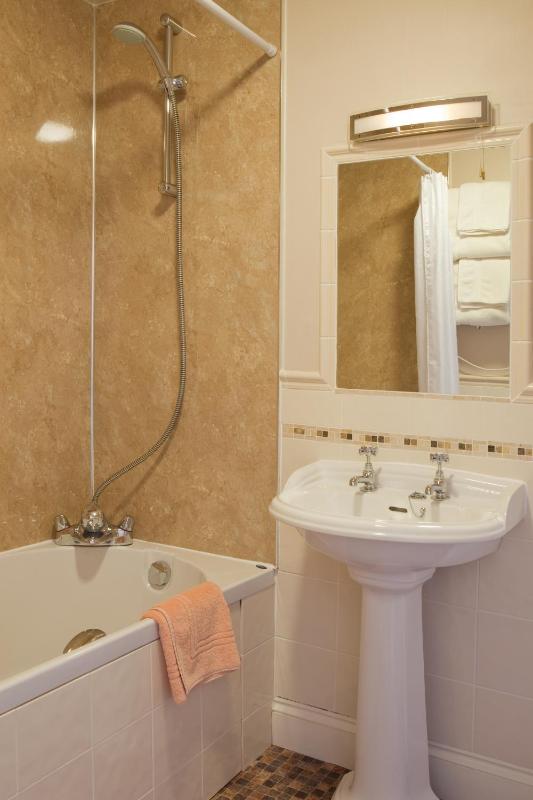 Deluxe Double or Twin Room image 2