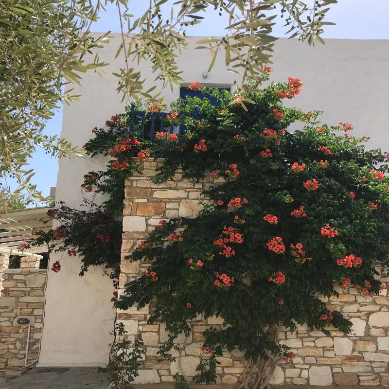 Anezina Village - image 48