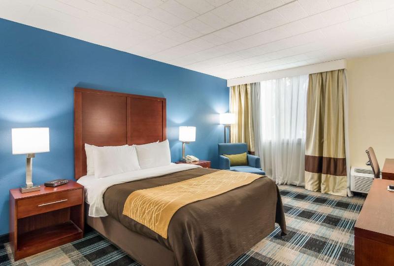 Queen Room - Disability Access/Non-Smoking image 3