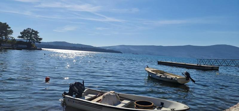 One-Bedroom Apartment image 3