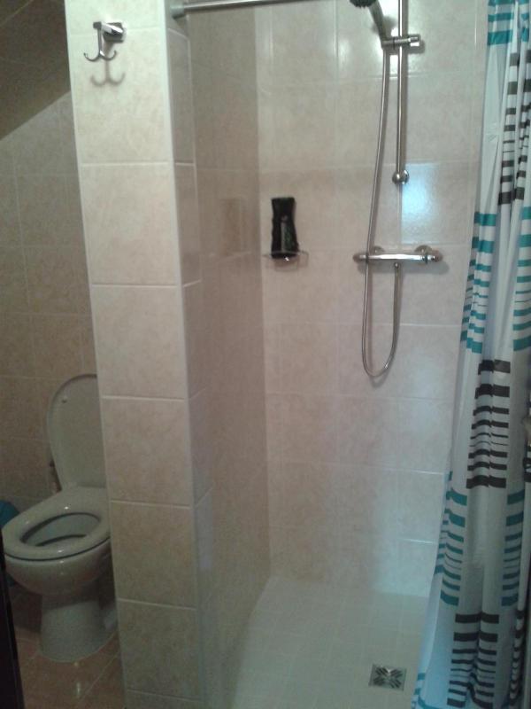 Studio with Shower image 2