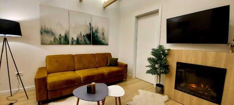 One-Bedroom Apartment image 2