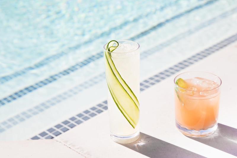 Kimpton Rowan Palm Springs Hotel By IHG - image 11