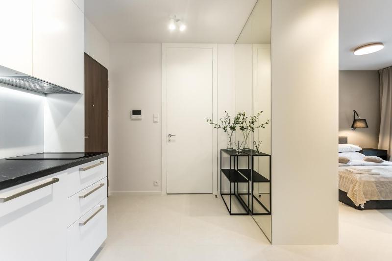One-Bedroom Apartment image 3
