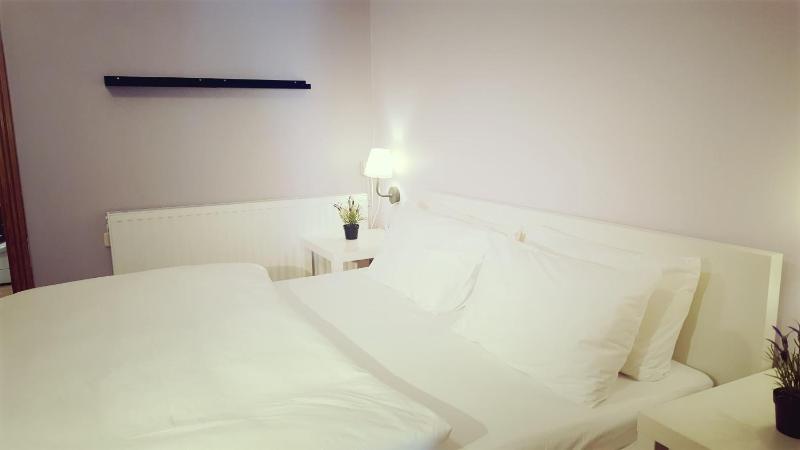 Two Bedroom Shmeisani Apartment - image 5