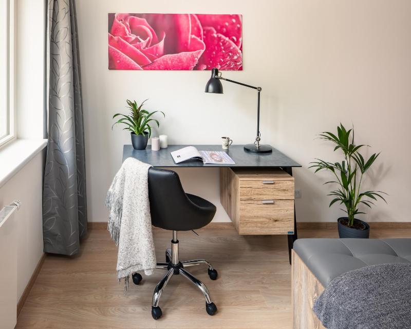 One-Bedroom Apartment image 3