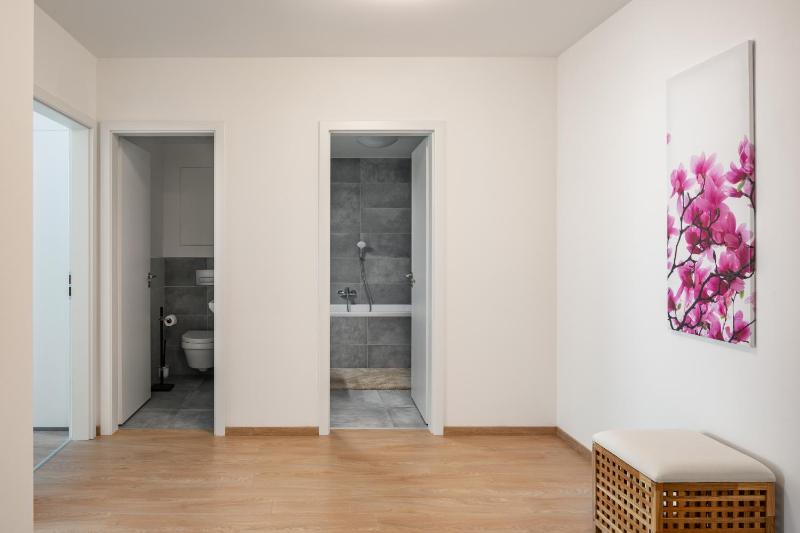 One-Bedroom Apartment image 2