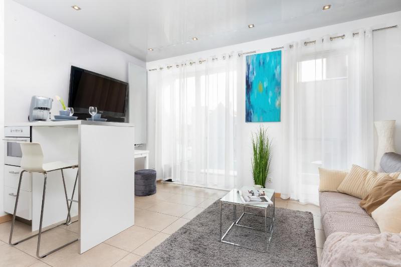 One-Bedroom Apartment image 2