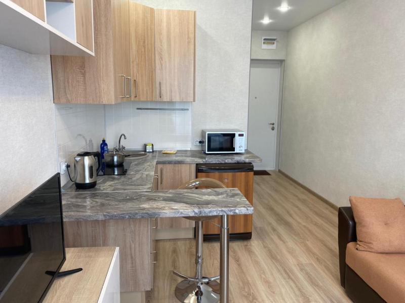 One-Bedroom Apartment image 2
