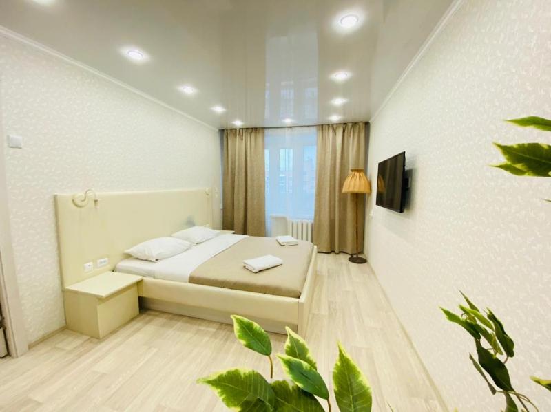 One-Bedroom Apartment image 2