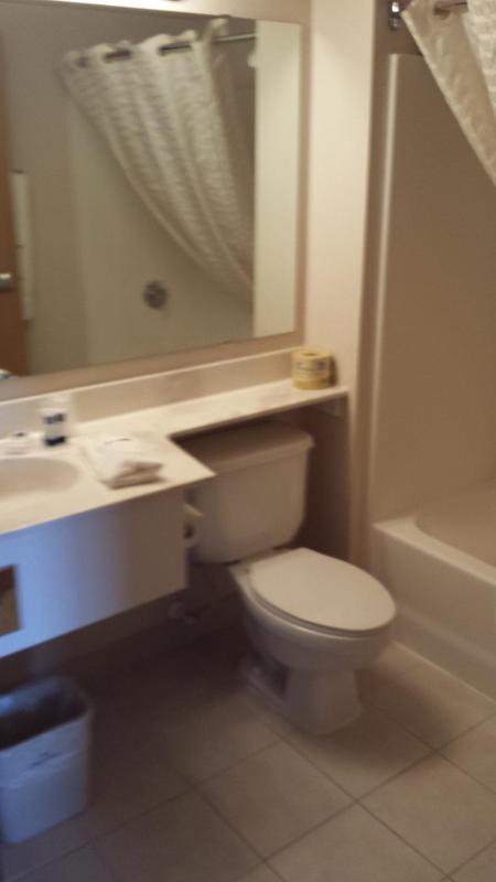 Deluxe King Suite - Non-Smoking image 4