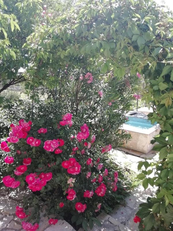 Extraordinary Villa Marija in Kastela - image 26