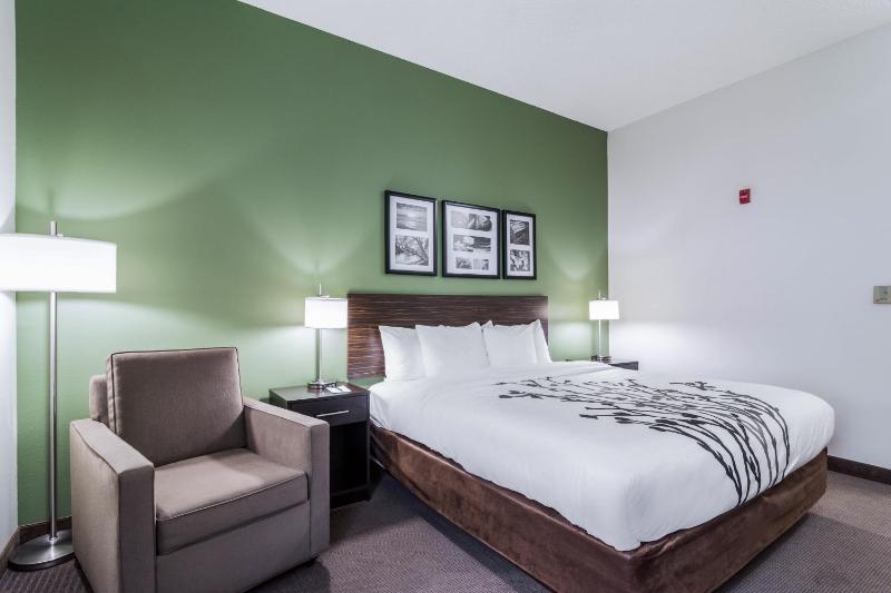King Room - Accessible/Non-Smoking image 1