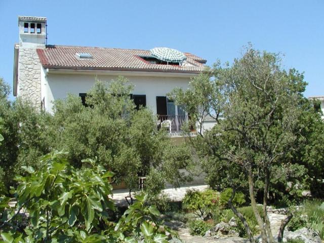 Apartment image 3