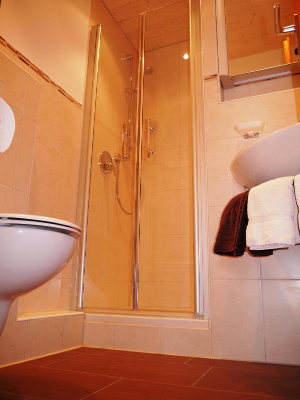 Single Room image 4