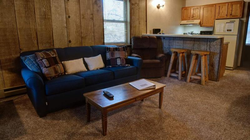 One-Bedroom Apartment image 1