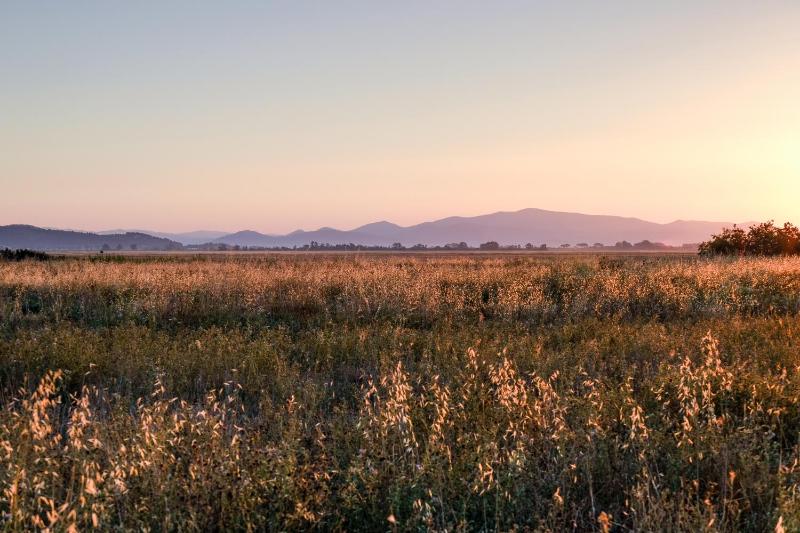 Deluxe Apartment image 2