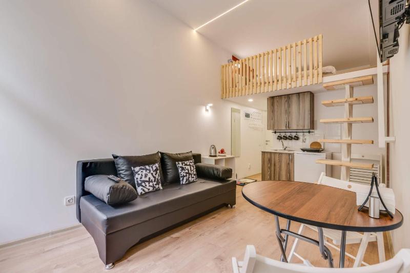 Superior Apartment image 1