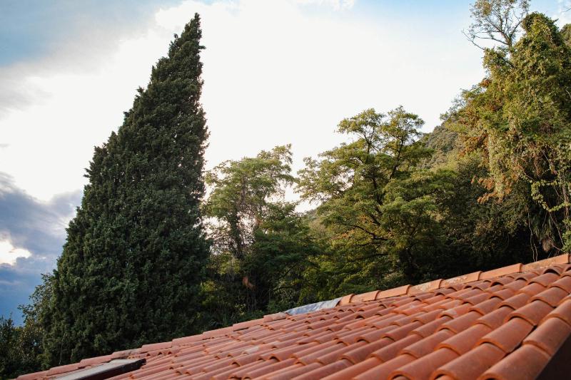 Villa Bertacchi - inside and out Como - image 11