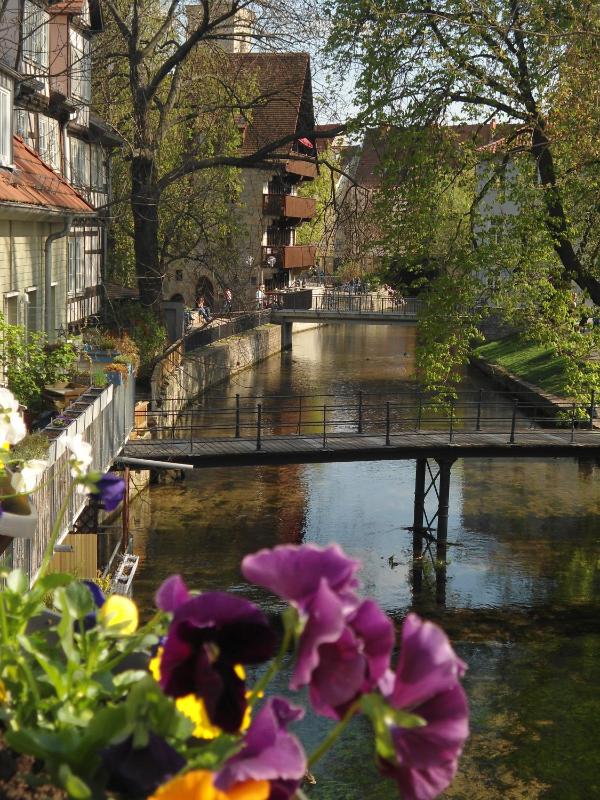 Altstadtapartment an der Krämerbrücke - image 4